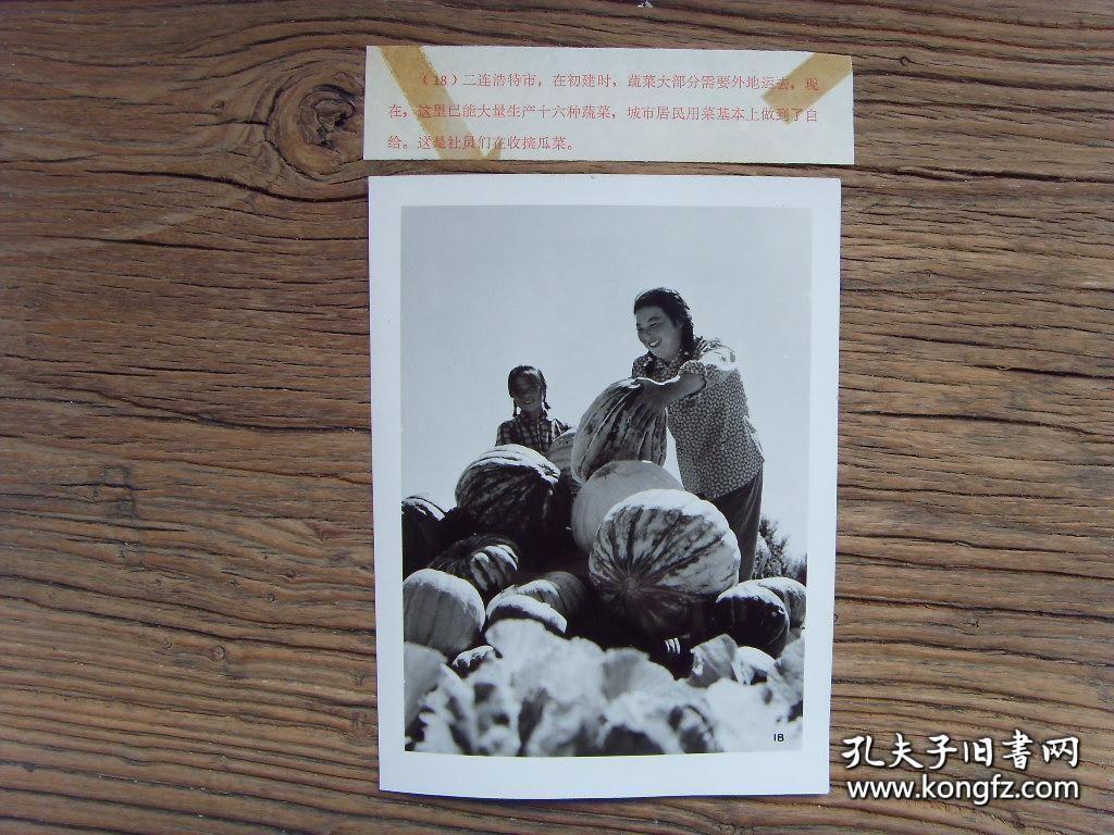 1973年，内蒙古二连浩特市，以前蔬菜靠外运，现在女社员收割自种的瓜菜