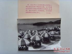 1957年，（旅大）大连市工人海滨休养院，工人们在遮阳伞下吃饭游戏