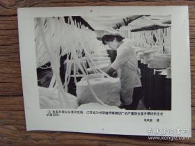 1982年，江苏省沙洲县塘桥镇棉织厂，产量居全国乡镇棉纺织企业第四位