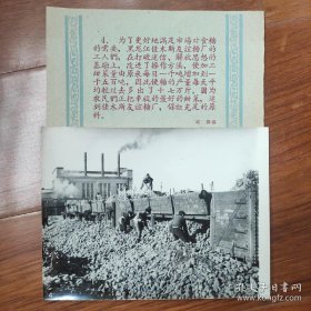 1959年，黑龙江佳木斯友谊糖厂打破迷信、解放思想，使糖产量每天多出17万斤，农民正把甜菜装车