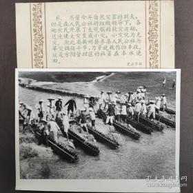 1959年，湖北新洲县李集公社与旱灾顽强斗争，方阳管理区社员在车水浇田