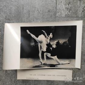 1979年，中央芭蕾舞团著名芭蕾舞演员白淑湘，在演出舞剧《天鹅湖》