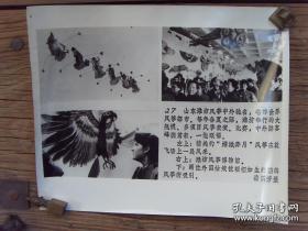 超大尺寸：1987年，山东潍坊风筝