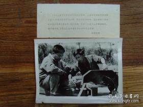 1979年，上海市五四农场农机科工程师陈霖鹏（印尼归国华侨、上海市劳动模范）