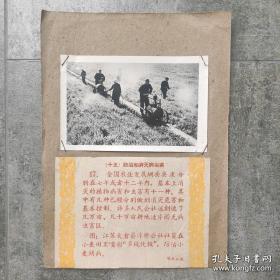 1960年，江苏太仓县浮桥公社，社员在喷洒农药“多硫化钡”防止小麦锈病