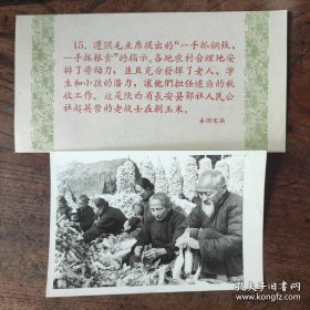 1958年，陕西省长安县郭社，超英营的老战士在剥玉米