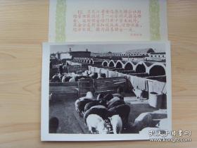 1960年，黑龙江安达县先锋公社，试建的窑洞式养猪场