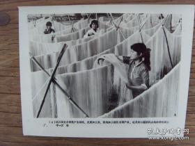 1983年，湖北汉川县同心村农民办起的粉丝厂