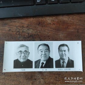 1993年，新当选的八届人大副委员长：铁木尔·达瓦买提（新疆维族）布赫（蒙古族）卢嘉锡