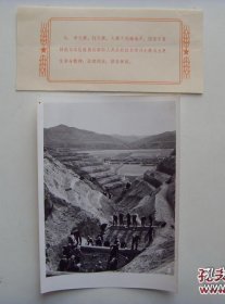 1965年，宁夏隆德县联财公社，社员学大寨修建梯田