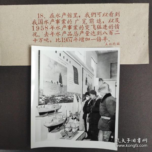 1959年全国农展会在北京农业展览馆召开，水产馆里人们参观各种远洋捕捞船模型