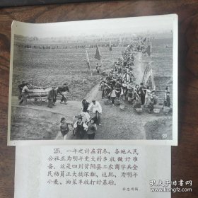 1959年，四川资阳县全县工农商学兵全民动员，大搞深翻、送肥、为明年农业大丰收打好基础