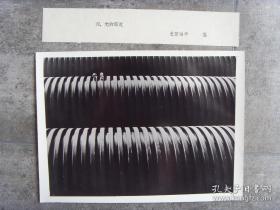 1986年，国内外摄影家获奖作品：“光的螺旋”史劳柏辛 摄