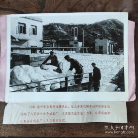 1973年，福建省长泰县合成氨厂工人在装运化肥
