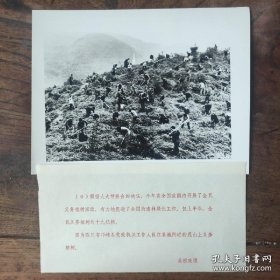1982年，四川邛崃县党政机关干部，在县城附近荒山上义务植树