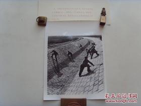 1966年，甘肃省武威县，民工们在治理西营河