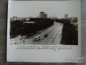 超大尺寸：1983年，天津市胜利路全景