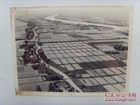 1964年，湖南省洞庭湖地区整齐的农田