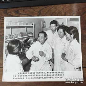 超大尺寸：1978年，中科院北京动物研究所研究员、著名生物学家童第周（浙江宁波鄞县人，中科院院士、中国克隆之父）