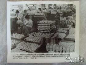 超大尺寸：1986年，唐山第一瓷厂骨灰瓷车间
