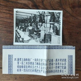 1955年，国营上海面粉厂提高面粉出粉率，100斤小麦出粉85.77%突破定额标准。图为工人打包面粉运往仓库（1201号）