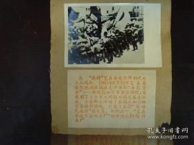 1960年，日本冲绳人民示威游行，反动美国总统艾森豪威尔访问