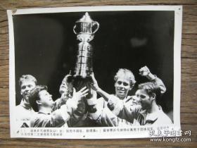 1993年，第42届世界乒乓球锦标赛，瑞典队获男子团体冠军，瓦尔德内尔