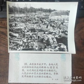 1959年，湖北监利县的运粮船，公社社员正快装快运，尽早把粮食运到收购站
