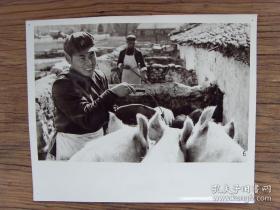 超大尺寸：1975年，解放军某部六连，连队干部在喂猪