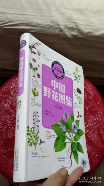 中国之美·自然生态图鉴：中国野花图鉴