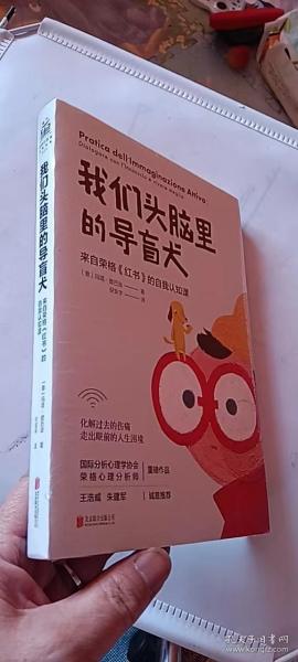 我们头脑里的导盲犬：来自荣格《红书》的自我认知课【十品未开封】