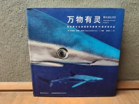 万物有灵：国际野生生物摄影年赛第50届获奖作品