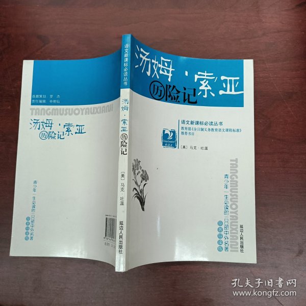 汤姆索亚历险记