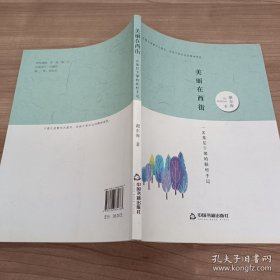 美丽在西街:一名基层干部的联村手记