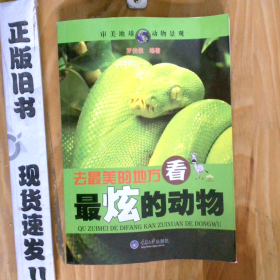 去最美的地方 看最炫的動物 審美地球動物景觀叢書 去最美的地方看最炫的動物24-4-2-156