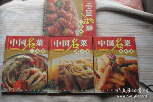 中国名菜；全4册彩色烹制图解广东菜，四川菜，湖南菜，江浙菜