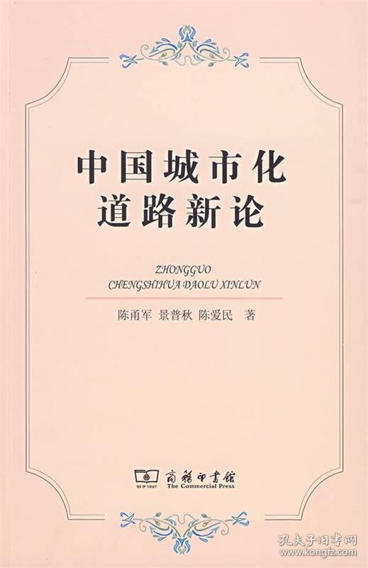 中国城市化道路新论