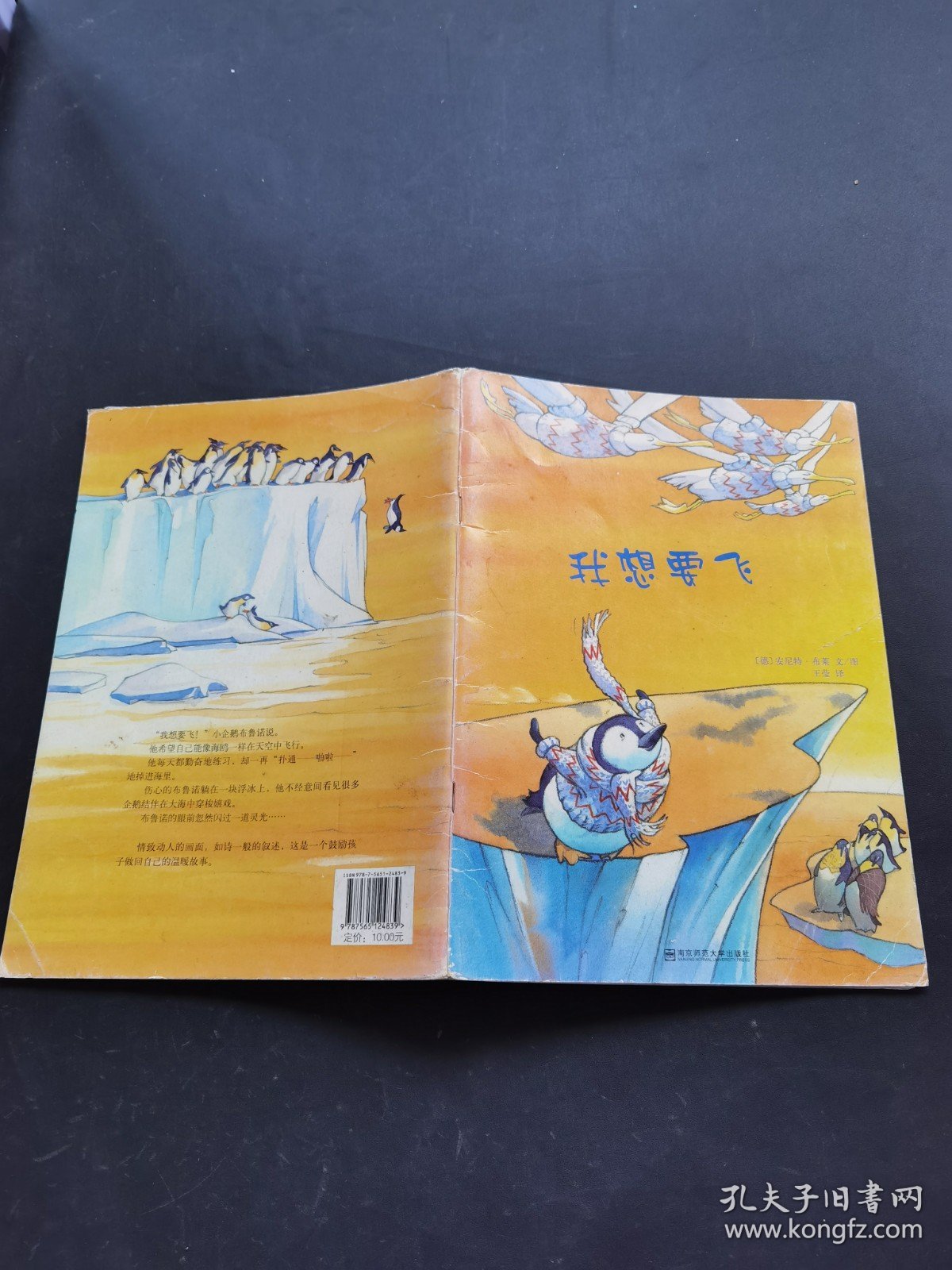 我想要飞