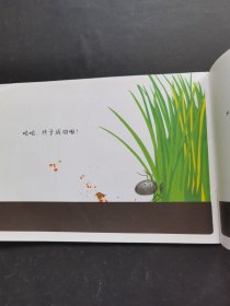 蚂蚁的一天