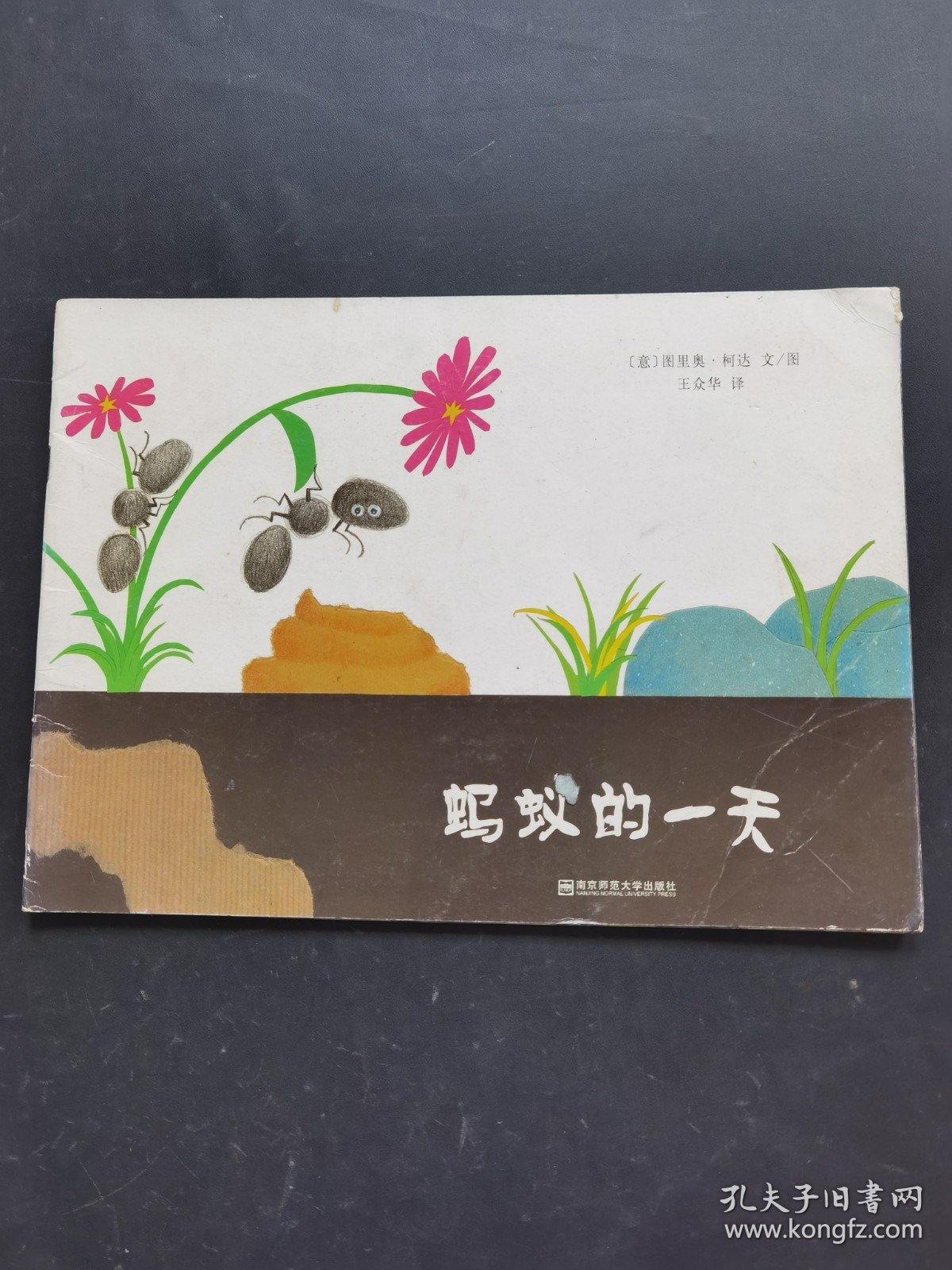 蚂蚁的一天