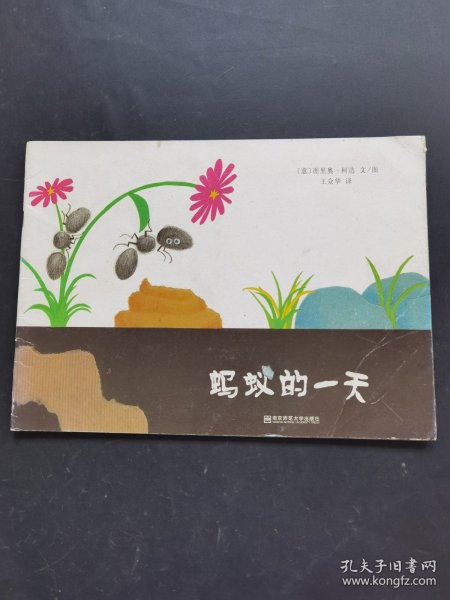 蚂蚁的一天