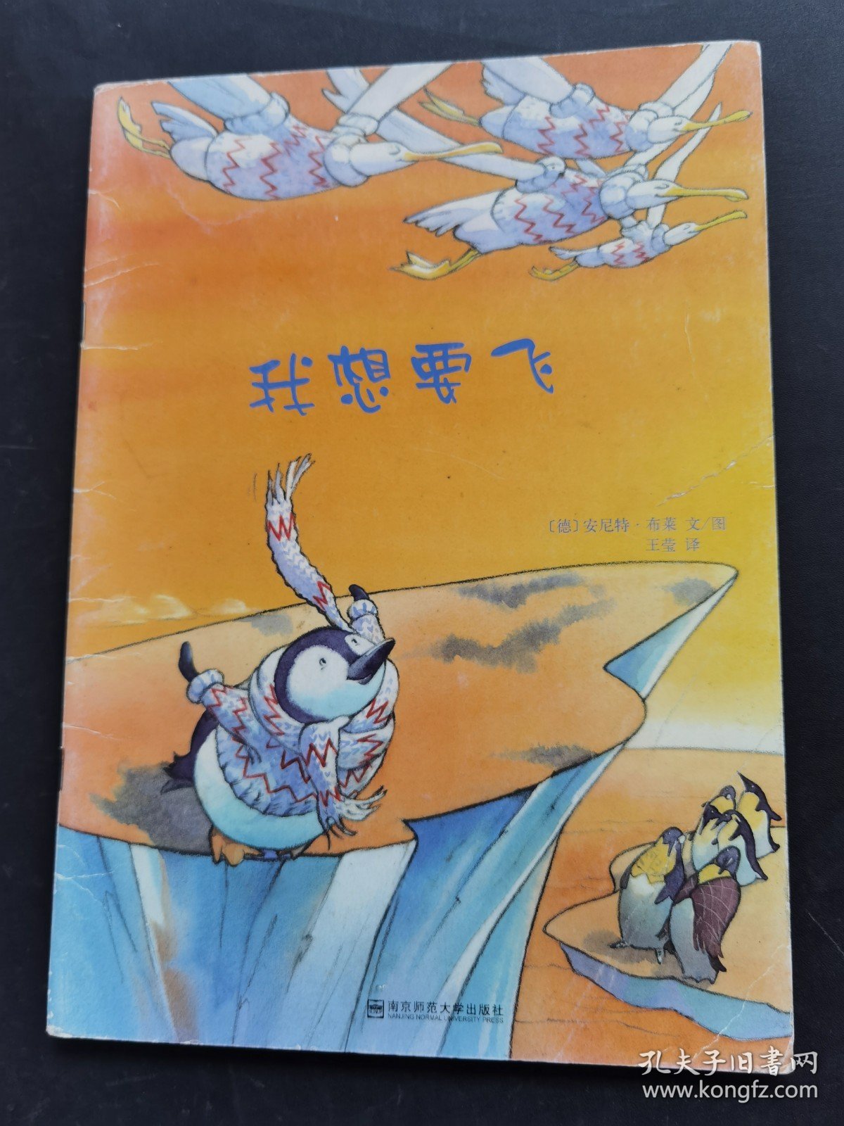 我想要飞
