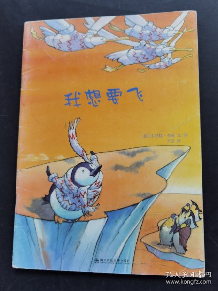 我想要飞