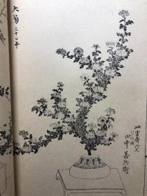 超稀少！瓶史国字解 袁宏道插画 袁中郎插画图会  大开本 13册齐全 木刻 线装木版画 保存良好