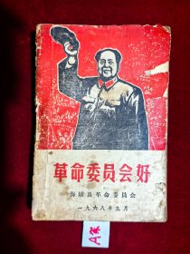 革命委员会好