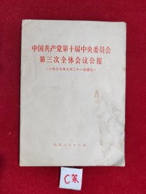 中国共产党第十届中央委员会第三次全体会议公报