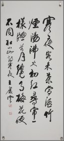 王庆云----精品书法