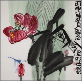 吴映强（精品国画--花卉图）