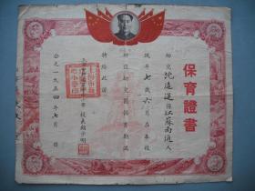 1954年 上海市新成区（1960年撤销的区）保育证书   罕见