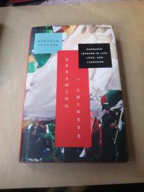 : Mandarin Lessons in Life, Love, and Language 梦里中文：有关生活、爱与语言的普通话学习经历【英文版，精装】